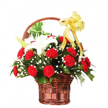 ����ܰ����ʲô,��ɫ����ܰ������ʲô��
