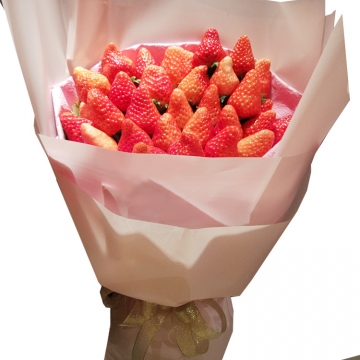 ��ݮ����,�͸������