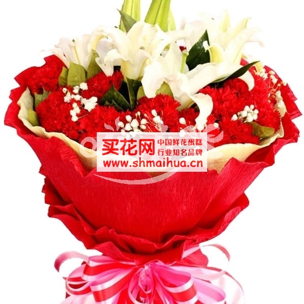 ��ʦ��Ӧ������ʦʲô����